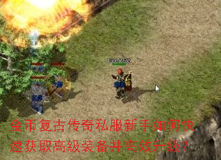 ��Ҹ��Ŵ���˽��������ο��ٻ�ȡ�߼�װ������Ч������