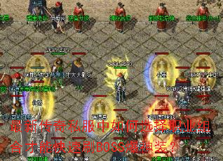 ���´���˽�������ѡ��ְҵ��ϲ��ܿ���ˢBOSS����װ��