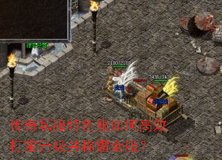 ����˽����ɫ����θ�Ч���������ư�ȫ����