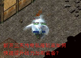 �¿����޴���˽�������ο�������ս����ˢװ����