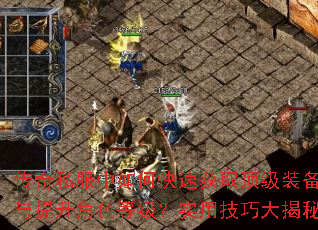 ����˽������ο��ٻ�ȡ����װ����������ɫ�ȼ���ʵ�ü��ɴ����