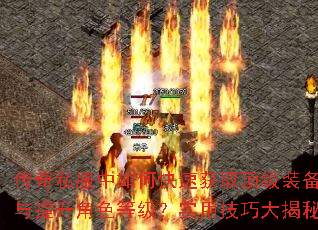 ����˽������ο��ٻ�ȡ����װ����������ɫ�ȼ���ʵ�ü��ɴ����