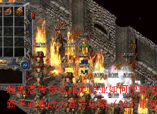 ����̬����˽����ְҵ��ο���ˢװ�������ֱؿ�ս���������ԣ�2025���£�