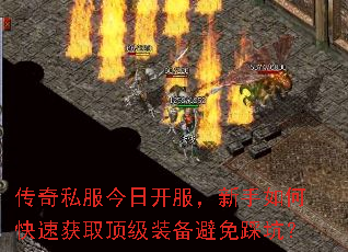 ����˽�����տ�����������ο��ٻ�ȡ����װ������ȿӣ�