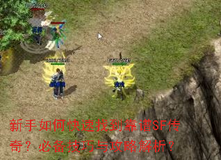 ������ο����ҵ�����SF���棿�ر������빥�Խ�����