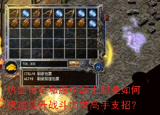 ��Ѫ����˽����սʿְҵ��ο�������ս���������֧�У�