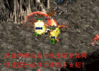 ��Ѫ����˽����սʿְҵ��ο�������ս���������֧�У�