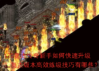 170���Ŵ���������ο������������Ű汾��Ч������������Щ��