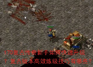 170���Ŵ���������ο������������Ű汾��Ч������������Щ��