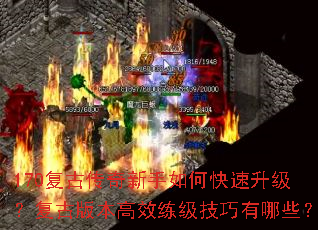 170���Ŵ���������ο������������Ű汾��Ч������������Щ��