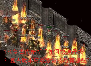 170���Ŵ���������ο������������Ű汾��Ч������������Щ��