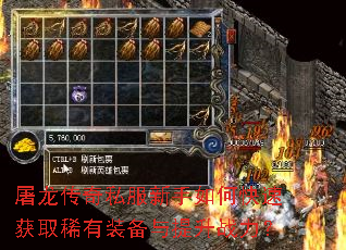 ��������˽��������ο��ٻ�ȡϡ��װ��������ս����