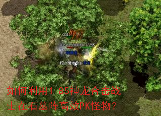 �������1.85�����ϻ�սʿ��ʯĹ���ЧPK���