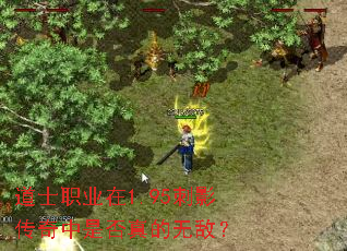 ��ʿְҵ��1.95��Ӱ�������Ƿ�����޵У�