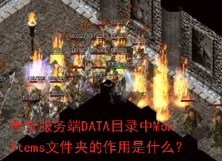��������DATAĿ¼��MonItems�ļ��е�������ʲô��