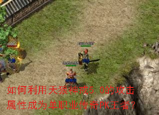 ��������������5.0�Ĺ������Գ�Ϊ��ְҵ����PK���ߣ�