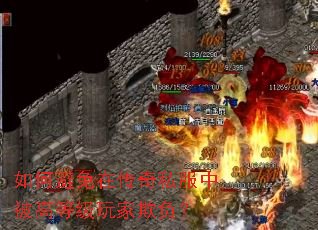 ��α����ڴ���˽���б��ߵȼ�����۸���