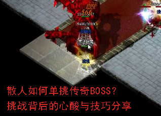 ɢ����ε�������BOSS����ս����������뼼�ɷ���