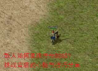 ɢ����ε�������BOSS����ս����������뼼�ɷ���