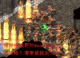 ��������Ұ��boss����ȫ���ԣ��������ҵ����ǣ�