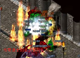 �����ʿ����������