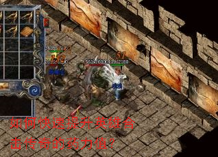 ��ο�������Ӣ�ۺϻ������ҩ��ֵ��