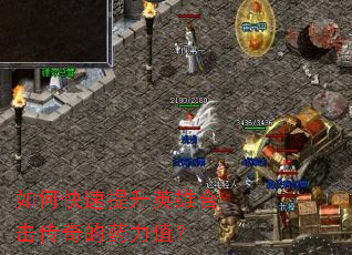 ��ο�������Ӣ�ۺϻ������ҩ��ֵ��