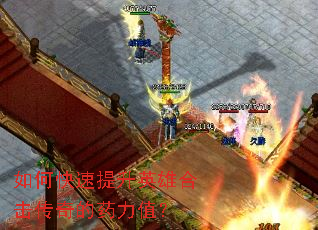 ��ο�������Ӣ�ۺϻ������ҩ��ֵ��