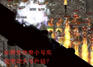 ����ô���С�Ÿ�Ч�������������