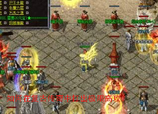 ����ڸ��Ŵ����д�����޸߹���