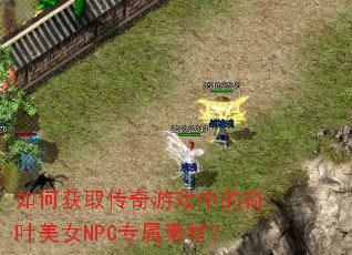 ��λ�ȡ������Ϸ�еĺ�Ҷ��ŮNPCר���زģ�