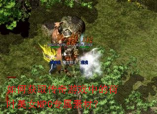 ��λ�ȡ������Ϸ�еĺ�Ҷ��ŮNPCר���زģ�