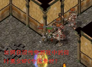 ��λ�ȡ������Ϸ�еĺ�Ҷ��ŮNPCר���زģ�