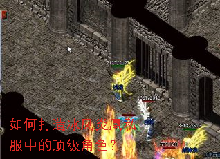 ��δ�������׻�˽���еĶ�����ɫ��