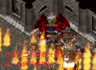 ��ħ������Ұ�޷ֲ�֮�գ���θ�Ч��ս��