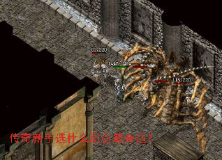 ��������ѡʲôְҵ����ʣ�