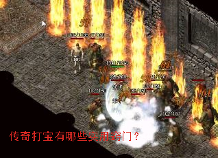 ���������Щʵ�����ţ�