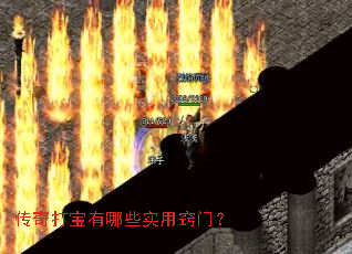 ���������Щʵ�����ţ�