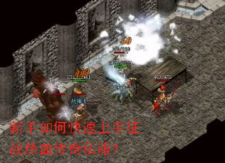 ������ο���������ս��Ѫ����˽����