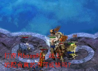 �����bossʱ��սʿ�������Ĳ��ɻ�ȱ��