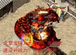 ������Х�������ã���ο�������ս�����ؼ�ȫ����