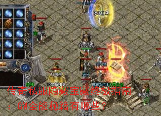 ����˽�����ر����ռ�ָ�ϣ�GMȫ���ؼ�����Щ��