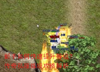 ������ο��������ȼ�������˽���������Խ���