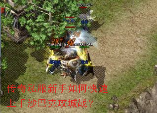 ����˽��������ο�������ɳ�Ϳ˹���ս��