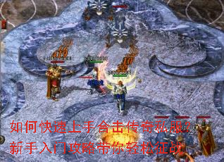 ��ο������ֺϻ�����˽�����������Ź��Դ���������ս