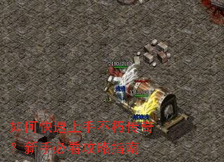 ��ο������ֲ��ഫ�棿���ֱؿ�����ָ��