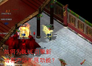 ���ΪBLUE���������ͻ�����չ���ܣ�