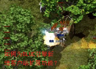 ���ΪBLUE���������ͻ�����չ���ܣ�