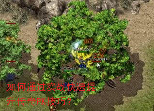 ���ͨ��ʵս������������PK���ɣ�