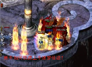 ������ο�������������;��